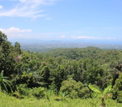 Lombok Country Side Tour 2D/1N