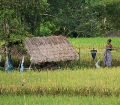 Lombok Country Side Tour 2D/1N
