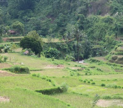 Lombok Country Side Tour 2D/1N