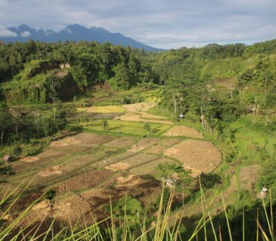 Lombok Country Side Tour 2D/1N