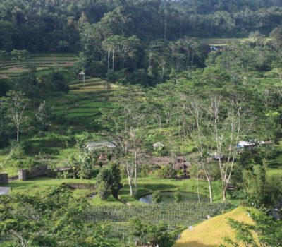 Lombok Country Side Tour 2D/1N